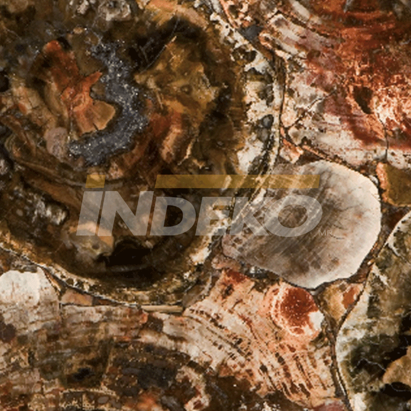 Indeko Caesarstone Petrified Wood