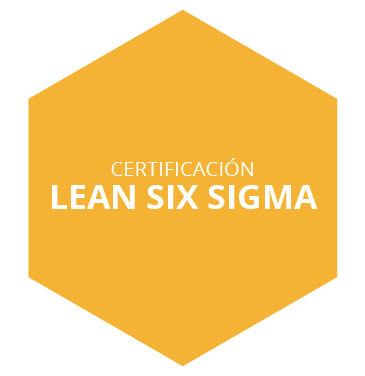 Lean Six Sigma Guarantee