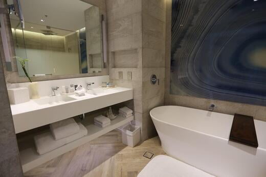 Bathtub, Hand wash basin, Living area